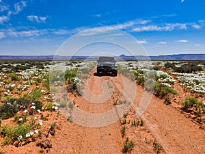 Jeep Driving Off Road on Dirt Road in Utah