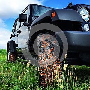 Jeep in the grass