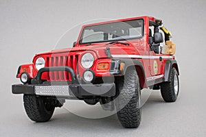 Jeep Rubicon Brush Fire Unit