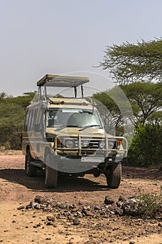 Jeep on Safari