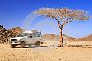 Jeep safari on the desert