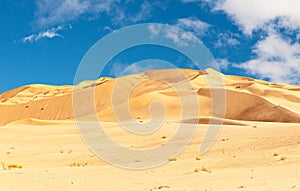 Jeep safari in the Omani Rub al-Chali Desert