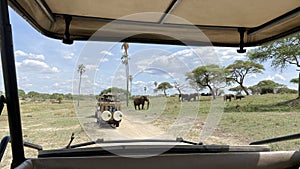 Jeep safari. View from the jeep window to a group of elephants. Tarangire National Park. Amazing landscapes of Africa