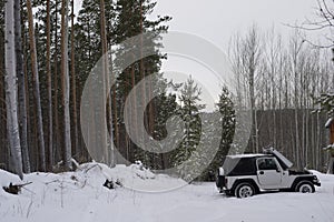 Jeep stands in the middle of the winter forest