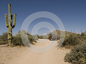 Jeep Tour