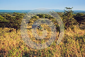 Jeep with tourists on safari in Serengeti