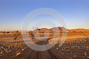 Jeep tracks through dry red sand