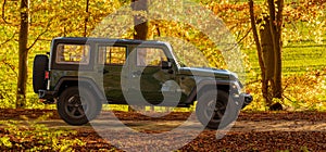 Jeep Wrangler driving a forest road