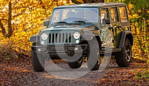 Jeep Wrangler driving a forest road