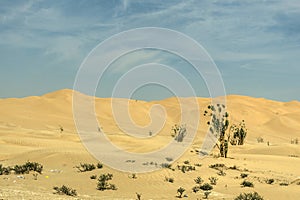 Jeeps traditional Safari Dune Bashing tourists Oman Ubar Desert Rub al Khali 7