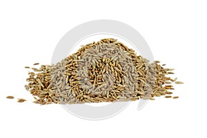 Jeera cumin, cuminum cuminum seeds