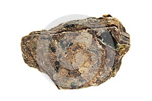 Jefferisite mica photo