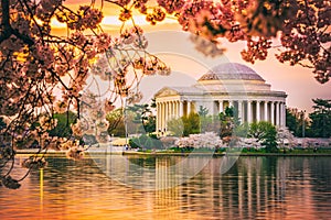 Jefferson Memorial in DC During spring