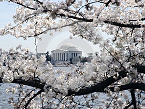 Jefferson Memorial II