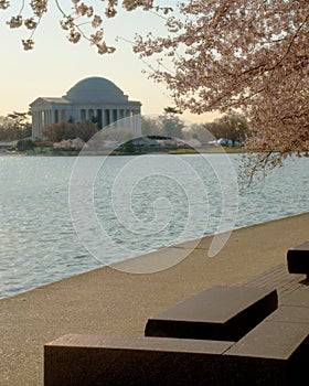 Jefferson Memorial in Spring