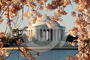 Jefferson Memorial in Spring