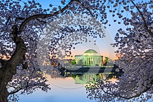 Jefferson Memorial in Spring