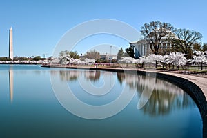 Jefferson Memorial - Washington D.C.