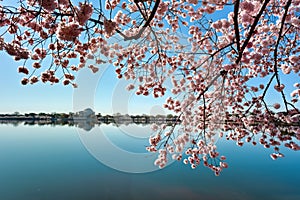 Jefferson Memorial - Washington D.C.