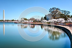 Jefferson Memorial - Washington D.C.