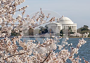 Jefferson Memorial in Washington DC in spring