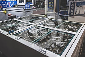 Close up view of fresh sea food stall at Jeju Dongmun market