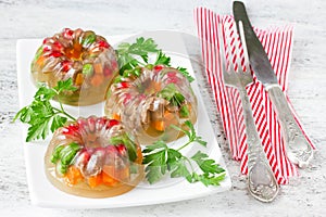 Jellied meat, aspic, galantine with vegetables and parsley