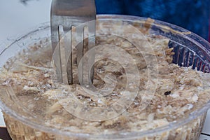 Jellied pork closeup. Traditional meat dish. Meat and fork