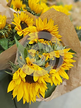Yellow sunflowers from the market