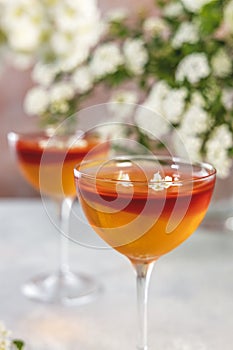 Jelly dessert. Two elegant stemware glass of delicious fruit dessert in  on gray table surface