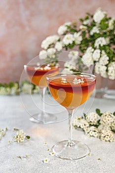 Jelly dessert. Two elegant stemware glass of delicious fruit dessert in  on gray table surface