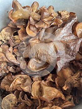 Jelly Ear has been used as a medicinal mushroom for centuries