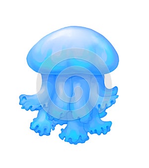 Jelly fish, sea animal hand drawn illustration