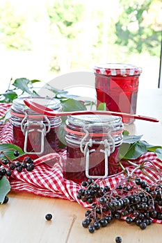 Jelly and fresh elder berries