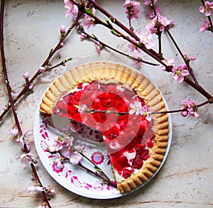 Jelly fruitcake on the table