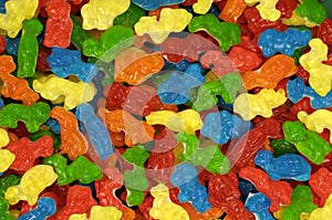 Jelly, gums animal