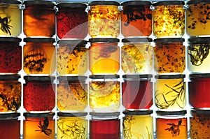 Jelly Jars