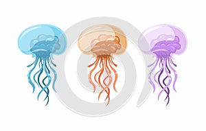 Jellyfish Animal Species Collection Set Cartoon illustration Vector