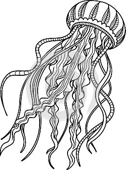 Jellyfish antistress. Hand drawn sketch for adult antistress coloring page. photo