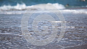 Jellyfish on the Beach