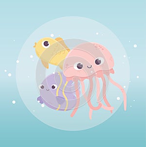 Jellyfish fishes swimming bubbles water life cartoon under the sea