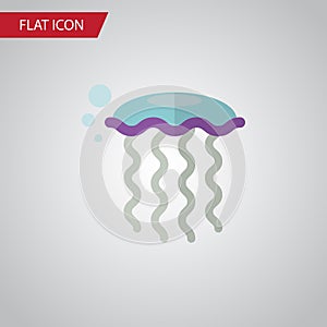 Jellyfish Flat Icon. Medusa Vector Element Can Be Used For Medusa, Jellyfish, Underwater Design Concept.