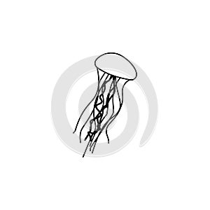 jellyfish icon.Element of popular sea animals icon. Premium quality graphic design. Signs, symbols collection icon for websites, w