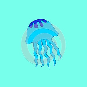 Jellyfish on the light blue background