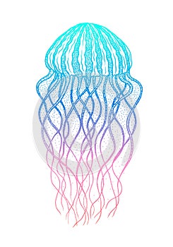 Jellyfish in line art style. Vector illustration. Ocean elements