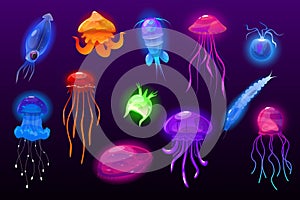 Jellyfish and plankton. Luminous deep sea inhabitants. Underwater invertebrate animals. Transparent marine medusa. Ocean