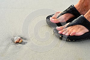 Jellyfish and sandals on Hilton Head Island Beach