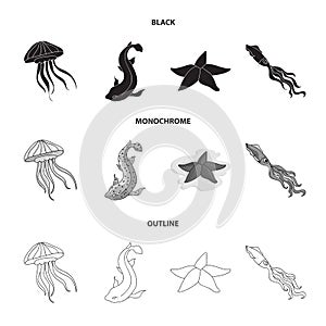 Jellyfish, squid and other species.Sea animals set collection icons in black,monochrome,outline style vector symbol