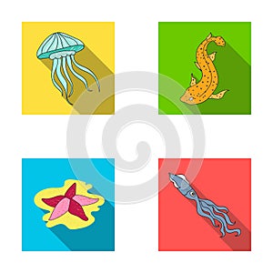 Jellyfish, squid and other species.Sea animals set collection icons in flat style vector symbol stock illustration web.