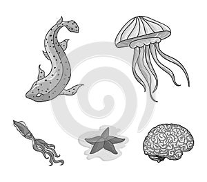 Jellyfish, squid and other species.Sea animals set collection icons in monochrome style vector symbol stock illustration